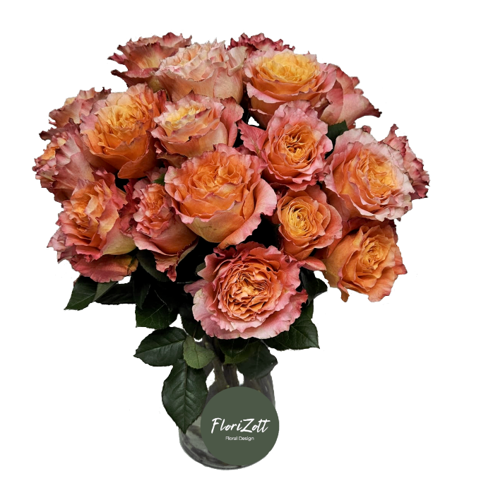 Rosen Ecuardor 20St.FZSka Rosen Ecuador