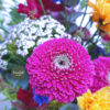 Wiesenfestival – Blumenstrauß