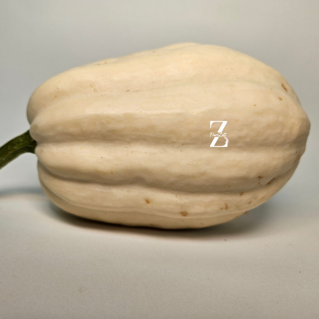 Zierkürbis "Baby Boo"