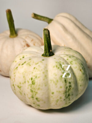 Zierkürbis "Baby Boo"