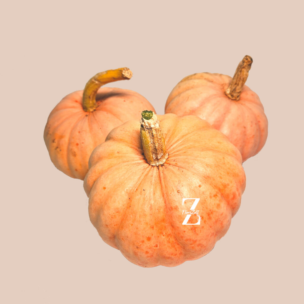 Zierkürbis "Miss Sophie Pink"