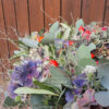 HerbstPur - FZSka D35 - P9121746 HerbstPur