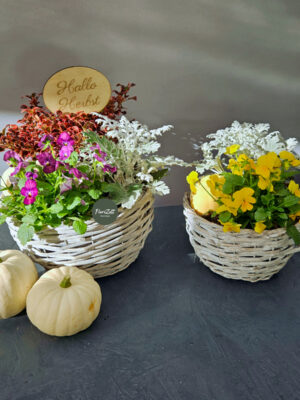 Herbstkorb - Main - Ska.FZ Herbstkorb „Hallo Herbst“