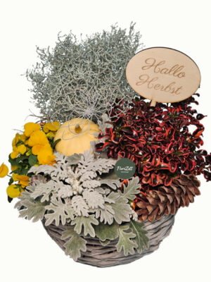Herbstkorb „Hallo Herbst“