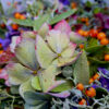 HerbstPur Kranz – Handgebundener Naturkranz aus Rosengarten 21224