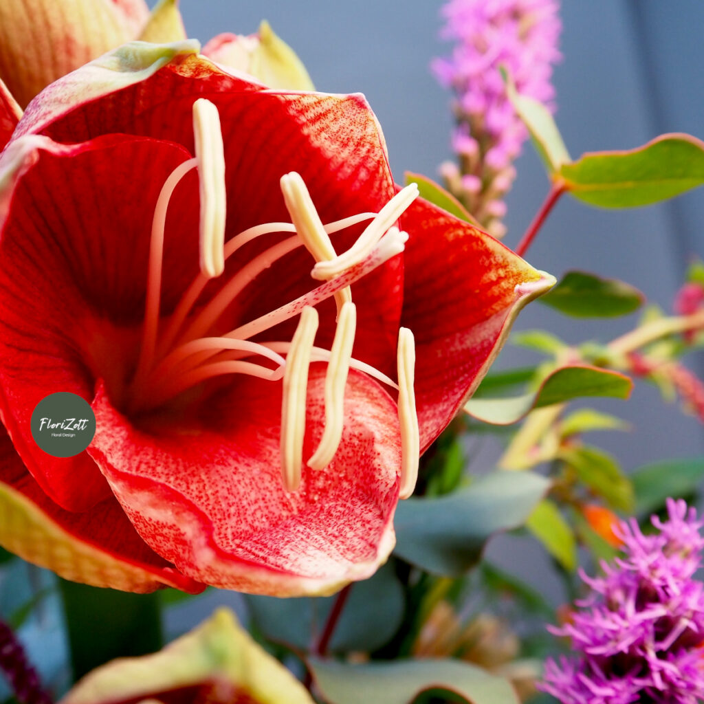 Winterflammen – Blumenstrauß