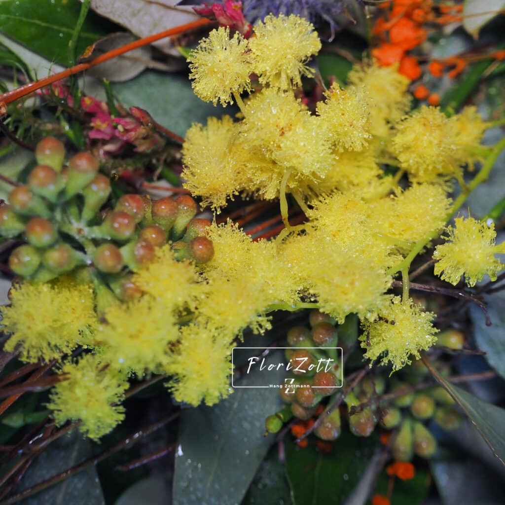 Frühlingskranz Heidesta FZ - - Ska P1271632 Frühlingskranz „Heidesta“ – Handgebundener Türkranz