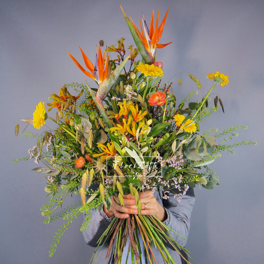 Paradiesia -P2222145- FZSka Paradiesia