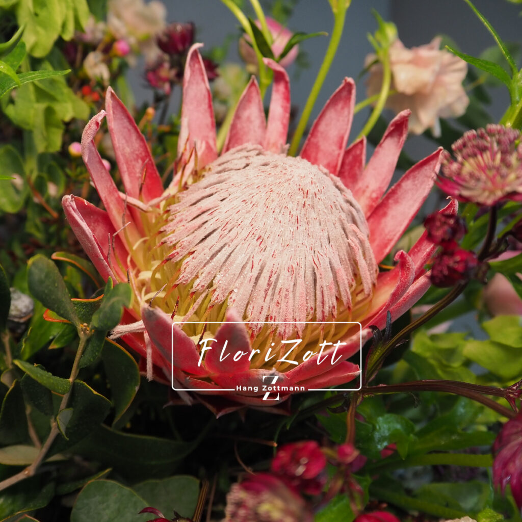 Royal Touch - Blumenstrauß - FZSka - P2142039 Royal Touch