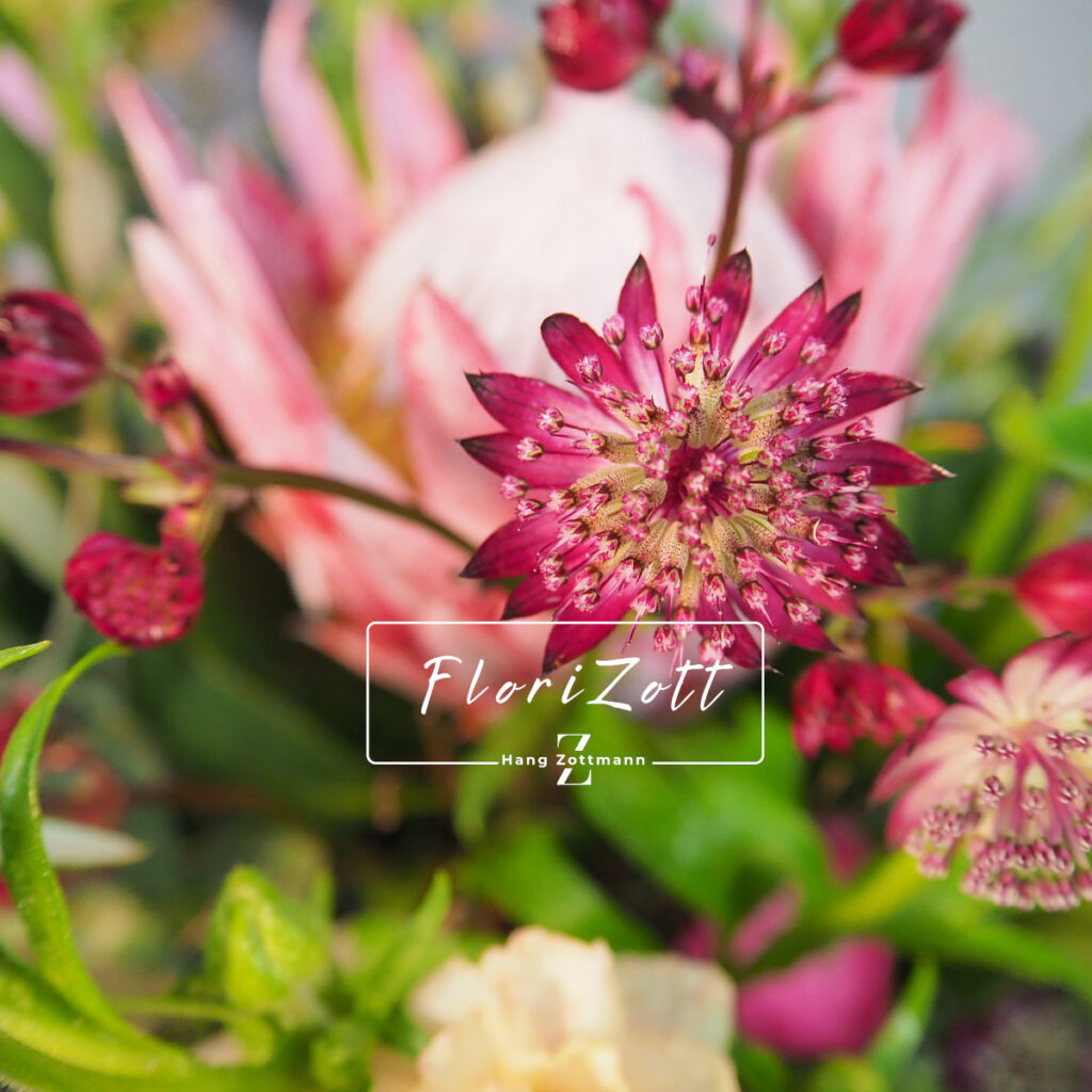 Royal Touch - Blumenstrauß - FZSka - P2142062 Royal Touch