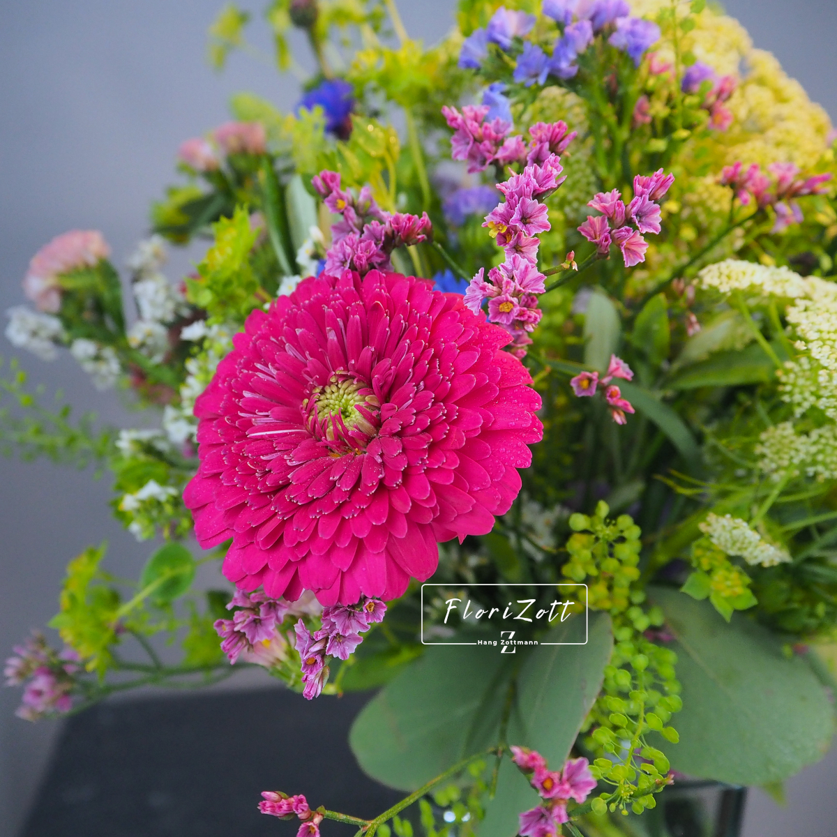 Strauß Express – Bild 5