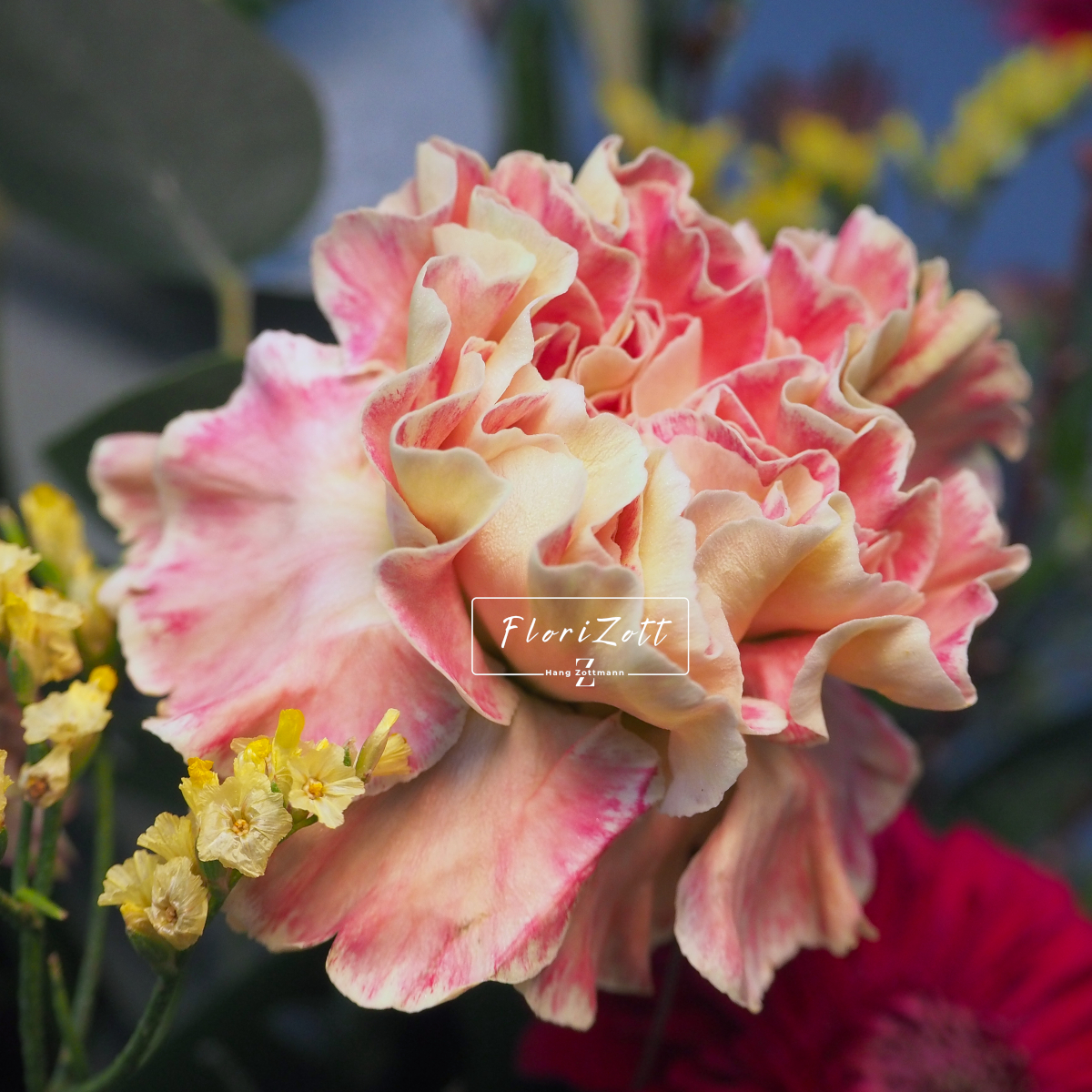 Strauß Express – Bild 4