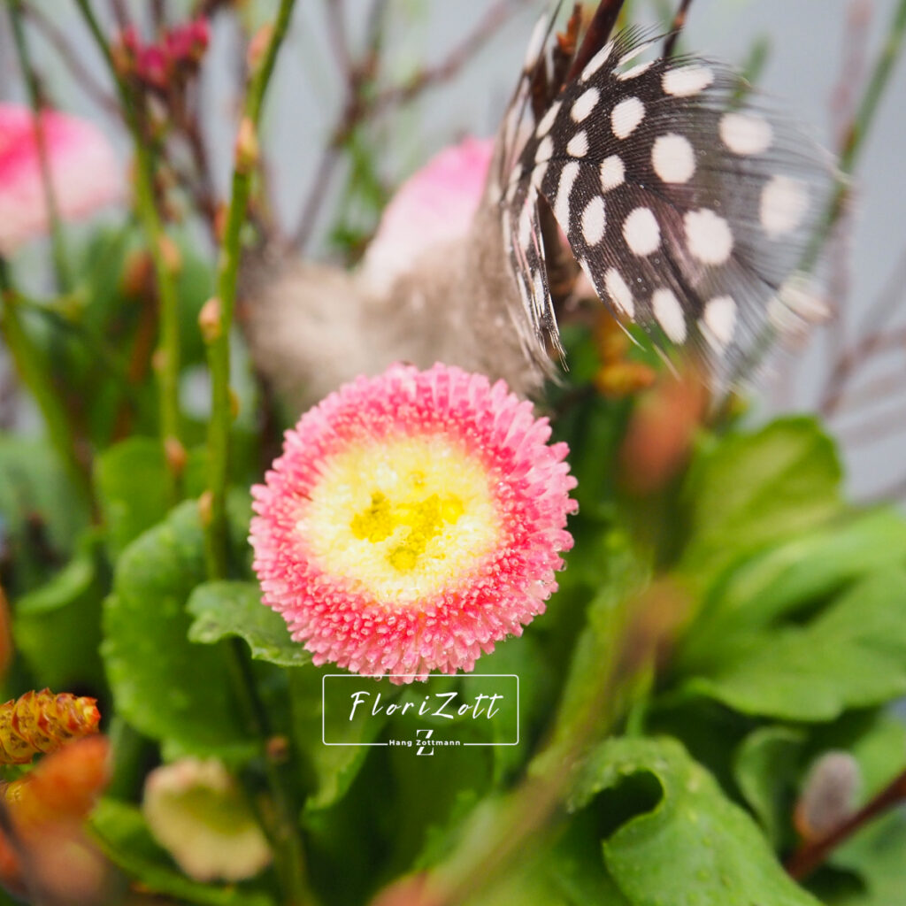 Moin Frühling