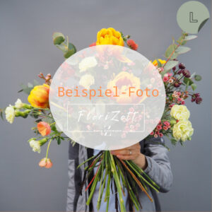 Strauß Express – Bild 13