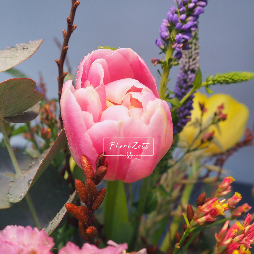 Wild Spring FZSka - P3062640 Wild Spring