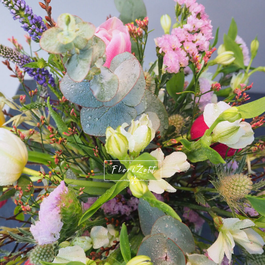 Wild Spring FZSka- P3062654 Wild Spring