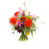Dahlia