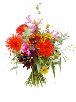 Dahlia_Qwen00006 FZ Dahlia